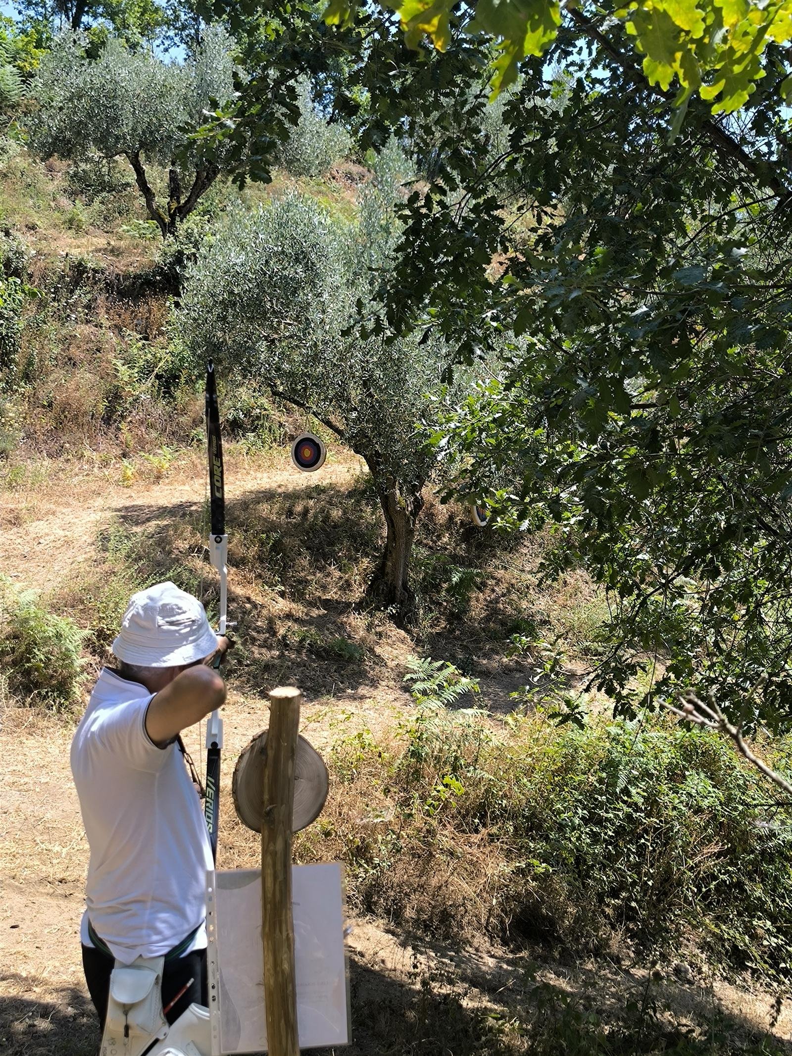 Arciere al bersaglio nel campo statico