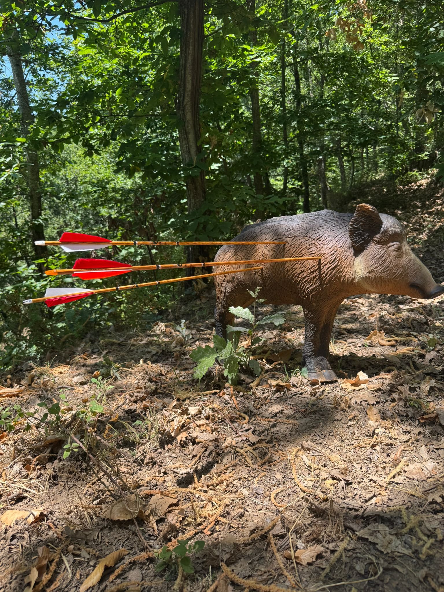 Sagoma 3D di cinghiale nel percorso di tiro con l'arco